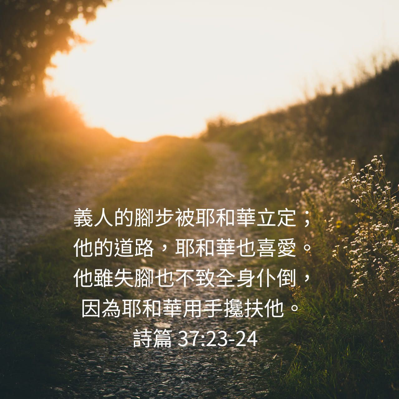 詩篇 37:23-24